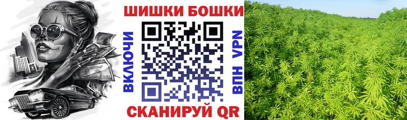 Купить где  Дорогобуж  Канабис конопля 